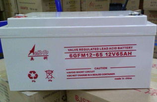 奥科蓄电池6gfm12 65参数12vgfm系列